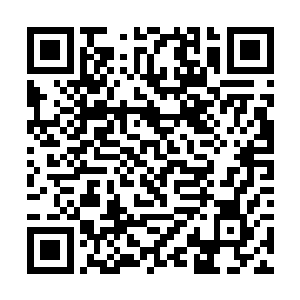 只把虎力大仙他们给气得恨不得冲上去群殴罗檀仙君二维码生成