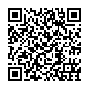 只抱着流墨墨直接掀开面前的银色纱幔走了进去二维码生成