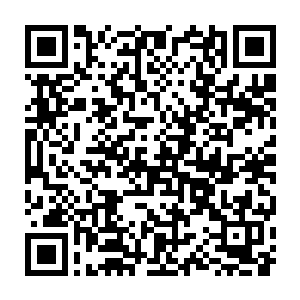 只拼了全部的感知去揣摩对方在几十分之一秒内露出的那一个小空门二维码生成