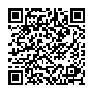 只按着自己的节奏一个个杀掉面前所有出现的人二维码生成