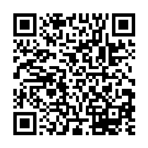 只是……他做梦也没有想到佐藤佳禾没有按照他计划中的那般做二维码生成