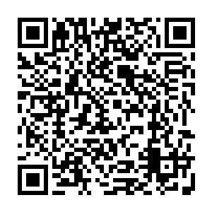 只是……如果时间拖下来……而且对方还比我们多出三个人尊期大修士……二维码生成