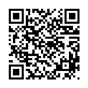 只是……现在节目都已经开始了三个了二维码生成