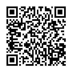 只是……那九霄云龙丹对面的易七海已经检查过一遍的确是真的二维码生成