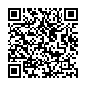 只是…在下倒没听说大楚有哪家姓楚的公子有公子如此气度二维码生成