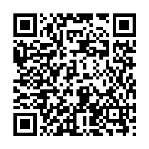 只是…她开出了一条让我无法拒绝的条件……是的二维码生成