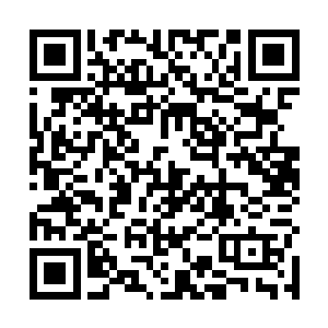 只是一个个眼睛仍然是紧紧盯着那老钟手中的那块石头二维码生成