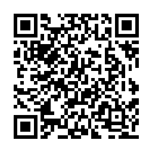 只是一个劲地紧紧地盯着许紫烟锻造的那块钢精二维码生成