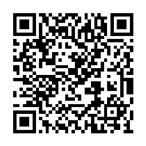 只是一个包装的非常精致而且心机深沉的凤凰男二维码生成