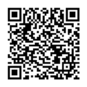 只是一个让我的家人安身立命不受欺凌和打压的地方二维码生成
