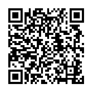 只是一些曾经参加过迈阿密海洋节的客人却有着不同的看法二维码生成