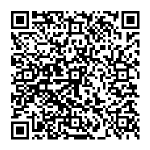 只是一人便可面对如此之多的强大存在试问古今有谁又能够有此资格这是一种荣耀属于巅峰强者的荣耀二维码生成