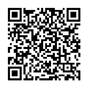 只是一会儿那株娇柔的花朵居然已经蹿到半人高了二维码生成