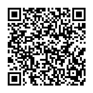 只是一入手秦方的脸色也就变得古怪了起来……一条皮鞭以及一瓶红色药剂二维码生成