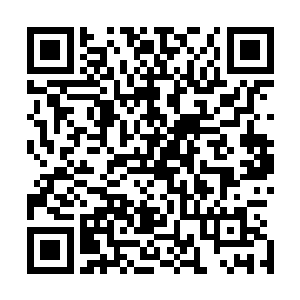 只是一直以来龙傲天对这个所谓的核心根本一点线索都没有二维码生成