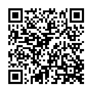 只是一直以来龙傲天根本就不知道这个珠子的用途二维码生成