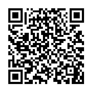 只是一直到许紫烟将修为恢复到巅峰她也没有想出来一个办法二维码生成
