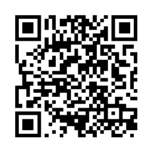 只是一直忙于收集食物并没有人欣赏或者在意二维码生成