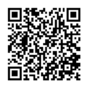 只是一群狼狈到了极处的常胜军士卒分两列单膝而跪二维码生成