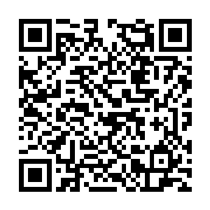 只是一边扯着萧言朝下倒一边挥舞着手中兵刃招架二维码生成