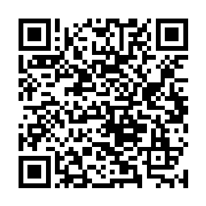 只是万里河山图还是被某些仁人志士拼命地保留了下来二维码生成