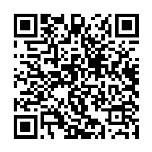 只是三百门炉火纯青的基础技能之中的其中一种而已二维码生成