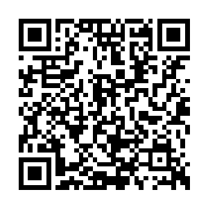 只是上面已经出现了蜘蛛网一般密集的细小裂缝二维码生成