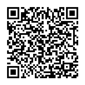 只是下面仿照华夏国春节联欢晚会的模样摆了不少铺着红毯的圆桌二维码生成