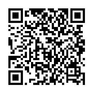 只是不停的修炼着王杰给他们脑海中留下的十三天将法二维码生成