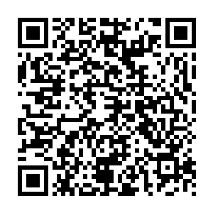 只是不到十几息的时间就将高空中的十三个魔族大修士拖进了幽冥幡二维码生成