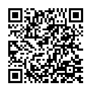 只是不愿意看着自己深爱的女人陷入任何一点点的危险二维码生成