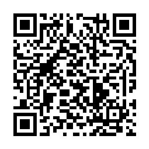 只是不是非常枯燥的课基本上都能撑下来不走神儿二维码生成