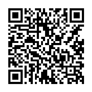 只是不清楚是气劲前期还是中期……而常乐虽然也是气劲级别二维码生成