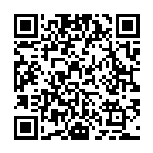 只是不知道不惧怕火法术的噬金蚁的外壳要靠什么来融化二维码生成
