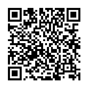 只是不知道为什么到了后来当她第一眼看到那个男子时二维码生成