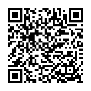 只是不知道他们为什么把这个村子里的人都杀了二维码生成