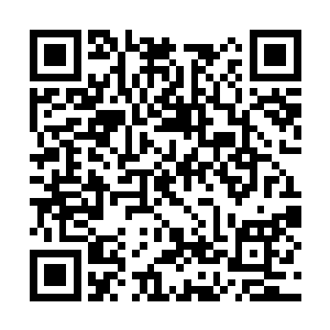 只是不知道应该把这功劳算到杀人还是研究装修上二维码生成