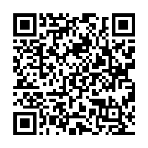 只是不知道是因为活人木燃烧时所散发的那种异香起了作用二维码生成
