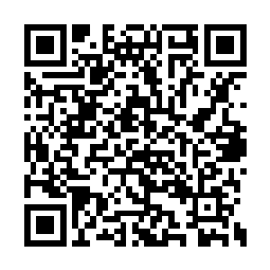 只是不知道池佳一为什么将僧人的舍利子给自己二维码生成