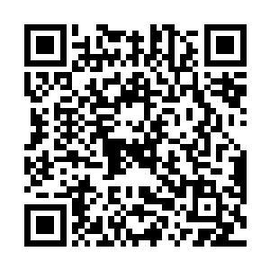 只是不知道白空照是如何知道狼王身上藏有如此重宝的二维码生成