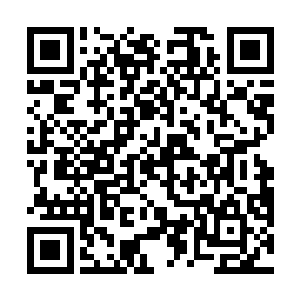 只是不知道这些灵草药的价值是否可以抵得上玄天精石二维码生成