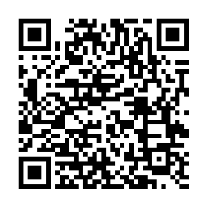 只是不知道那个武者大陆是一个和苍茫大陆平级的世界二维码生成