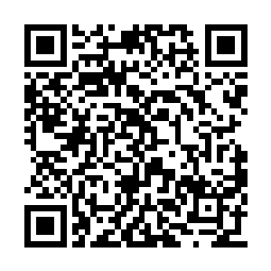 只是不知道那个莫吉列维奇是否和德约挂上了勾二维码生成