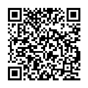 只是临时有紧急谍报说燕文鸾已经在赶来的路上二维码生成