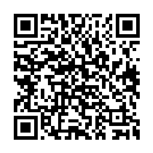 只是为了击杀几个在他们眼中没什么用处的属下二维码生成