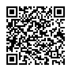 只是为了给我的好友以及亲人们提供一个栖身之处二维码生成