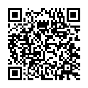 只是为了让剩下的四个族长能够多看看许紫烟的实力二维码生成