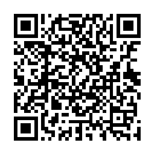 只是之前马加特一直抱着不能在家中荣光训练负担的想法二维码生成