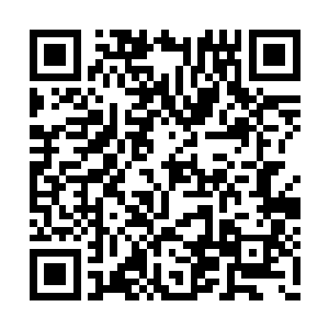 只是乾坤炉内孕育出来的一种奇特存在而已……二维码生成