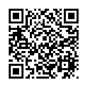 只是今天的紧绷中似乎带着一丝慌乱二维码生成